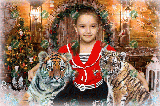 Новогодние Тигрята